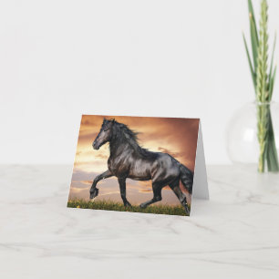 Beautiful Black Horse Note Card