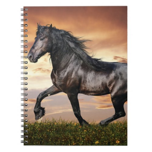 Beautiful Black Horse Notebook