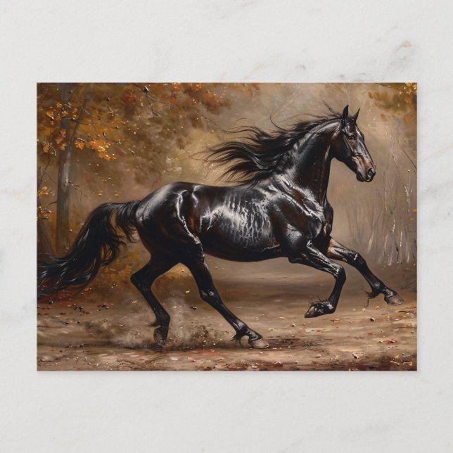 Beautiful Black Horse Oil Painting Postcard (Front)
