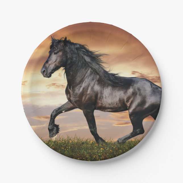 Beautiful Black Horse Paper Plates (Front)