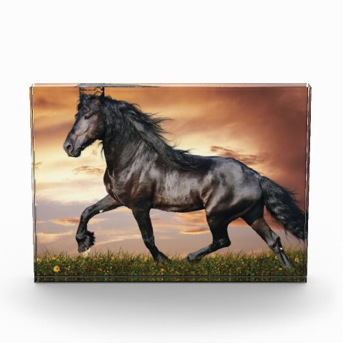 Beautiful Black Horse Photo Block