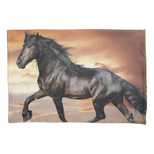 Beautiful Black Horse Pillow Case