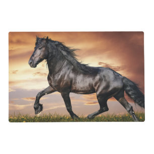 Beautiful Black Horse Placemat