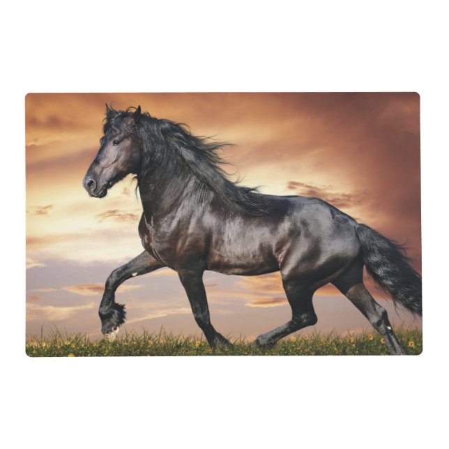Beautiful Black Horse Placemat (Front)
