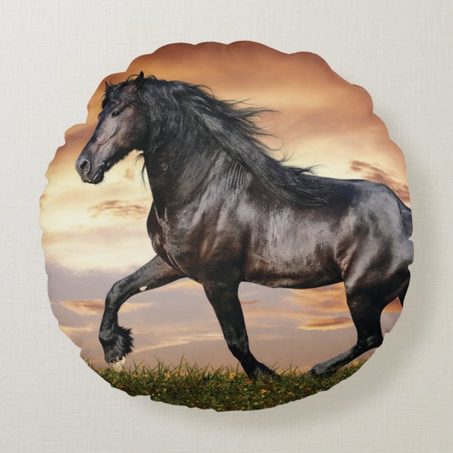 Beautiful Black Horse Round Pillow (Front)