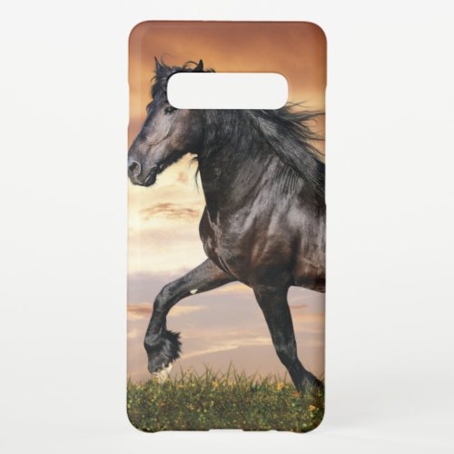 Beautiful Black Horse Samsung Galaxy S10 Case