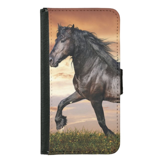 Beautiful Black Horse Samsung Galaxy Wallet Case (Front)