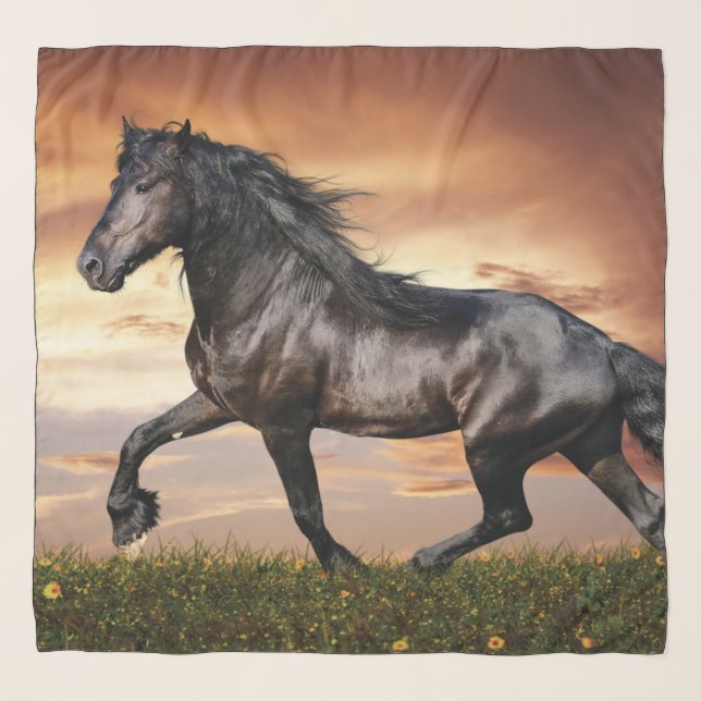 Beautiful Black Horse Scarf (Front)