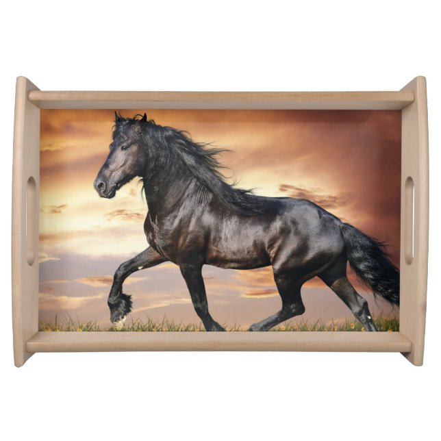 Beautiful Black Horse Serving Tray (Front)
