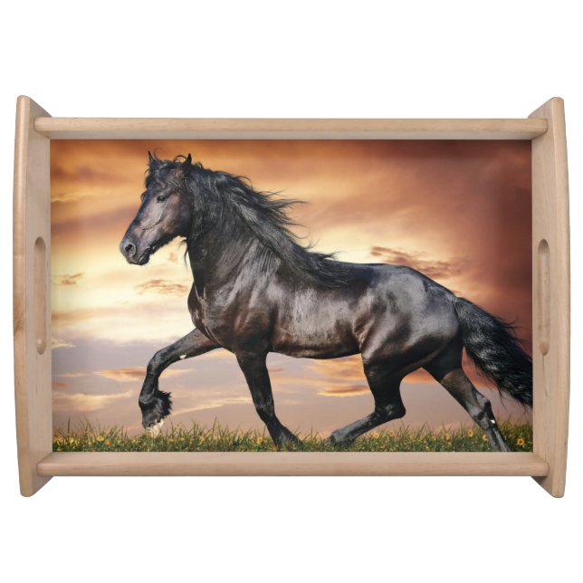 Beautiful Black Horse Serving Tray (Front)