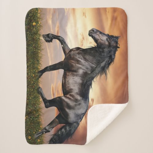 Beautiful Black Horse Sherpa Blanket