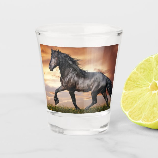 Beautiful Black Horse Shot Glass (Front)