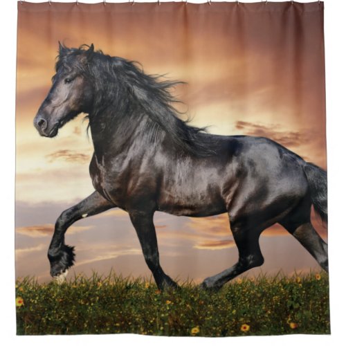 Beautiful Black Horse Shower Curtain