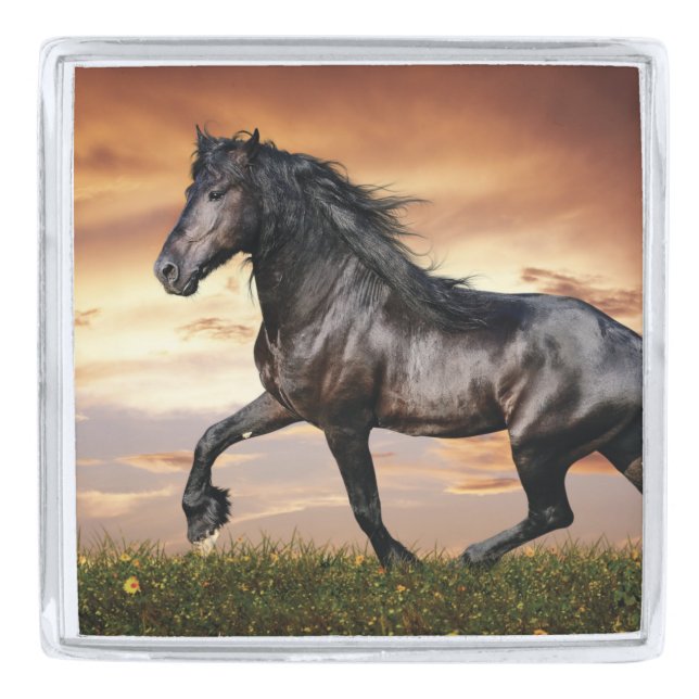 Beautiful Black Horse Silver Finish Lapel Pin (Front)