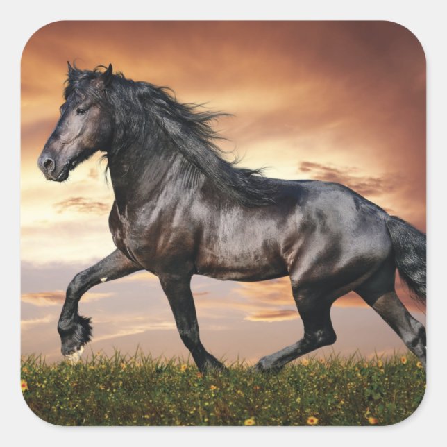 Beautiful Black Horse Square Sticker (Front)