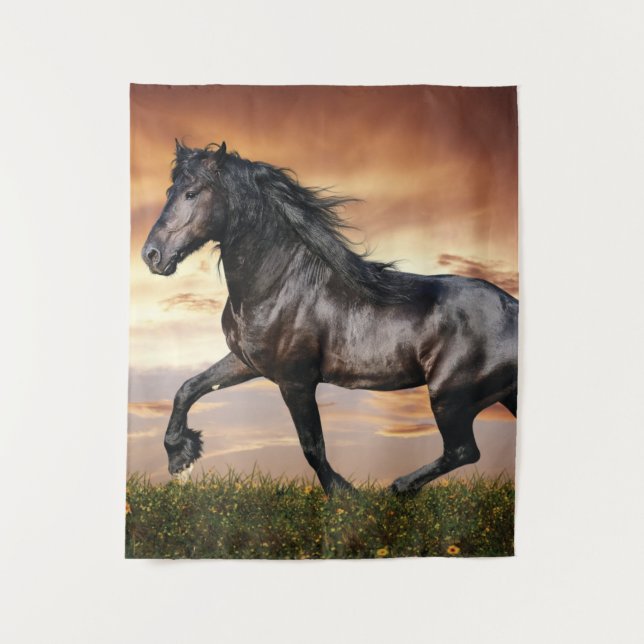 Beautiful Black Horse Tapestry (Front)