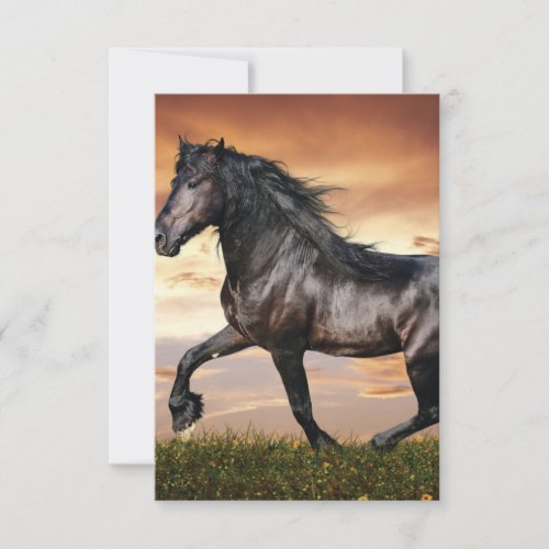 Beautiful Black Horse Thank You Card