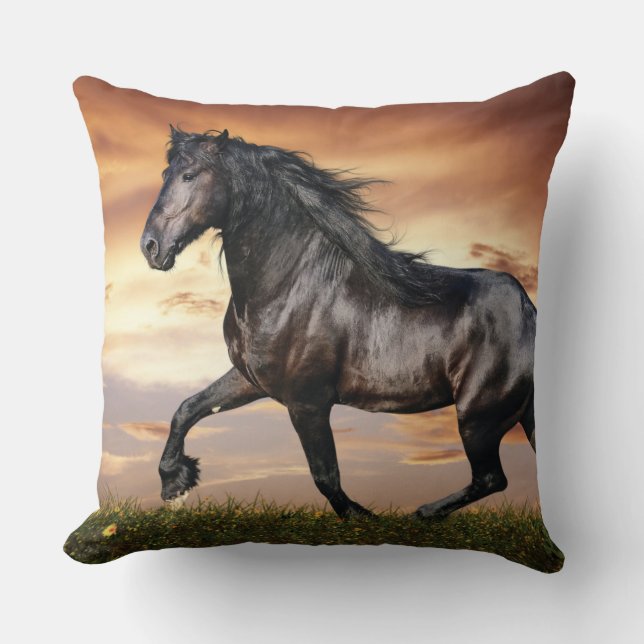 Beautiful Black Horse Throw Pillow (Front)
