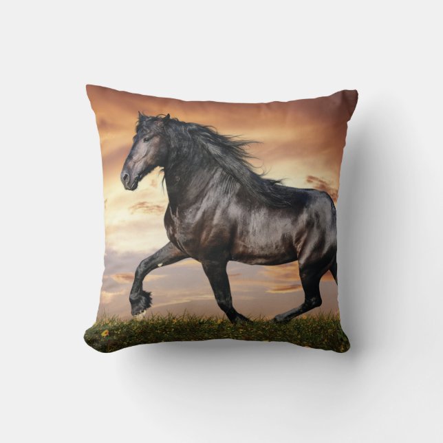 Beautiful Black Horse Throw Pillow (Front)