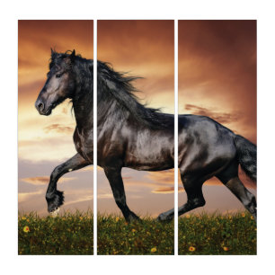 Beautiful Black Horse Triptych