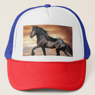 Beautiful Black Horse Trucker Hat