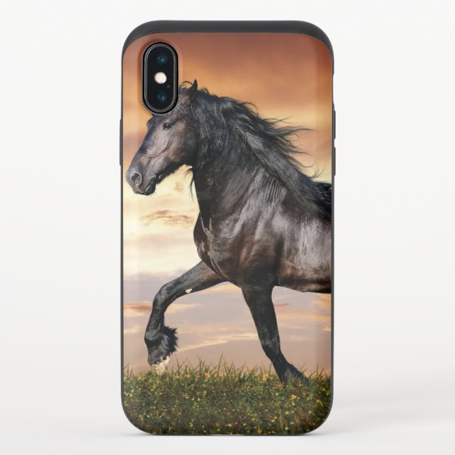 Beautiful Black Horse Uncommon iPhone Case (Back)