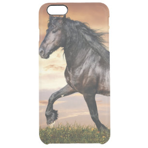 Beautiful Black Horse Clear iPhone 6 Plus Case