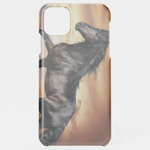 Beautiful Black Horse iPhone 11 Pro Max Case
