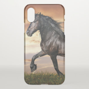 Beautiful Black Horse iPhone XS Case
