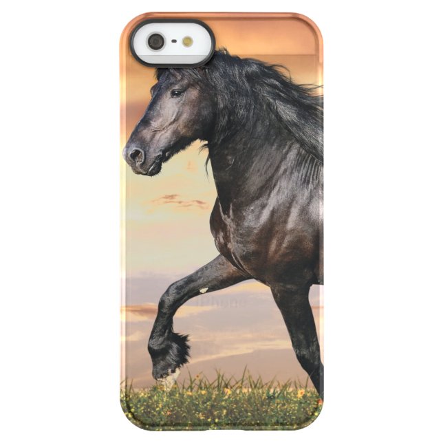 Beautiful Black Horse Uncommon iPhone Case (Back)