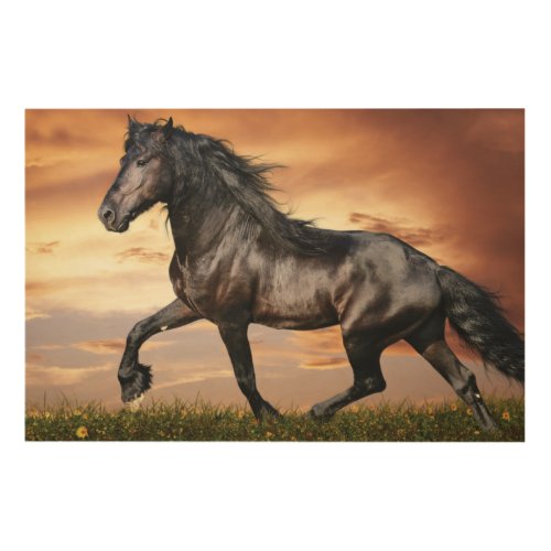 Beautiful Black Horse Wood Wall Art