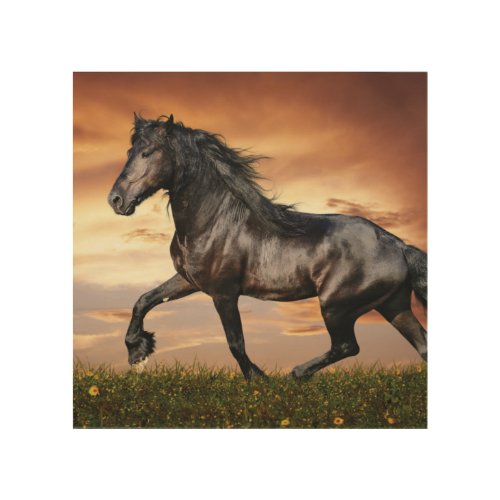 Beautiful Black Horse Wood Wall Art