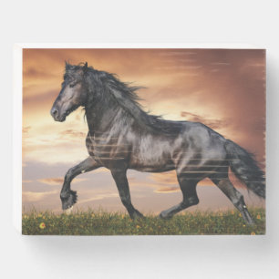 Beautiful Black Horse Wooden Box Sign
