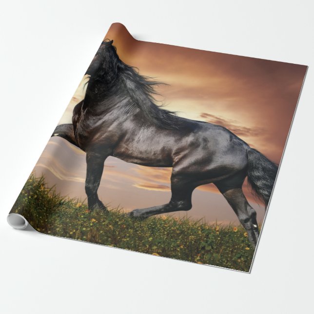 Beautiful Black Horse Wrapping Paper (Unrolled)