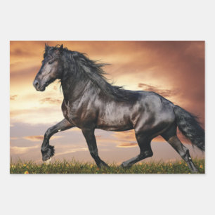 Beautiful Black Horse Wrapping Paper Sheets