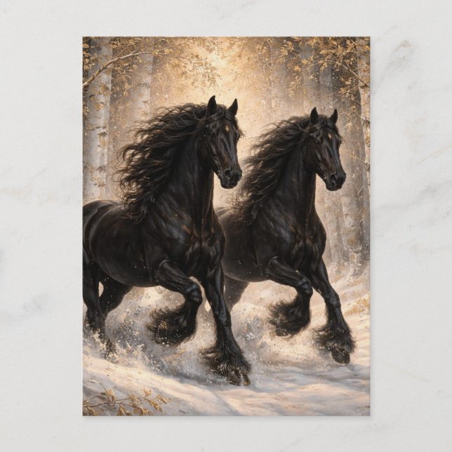 Beautiful Black Horses Winter Forest  Postcard (Front)
