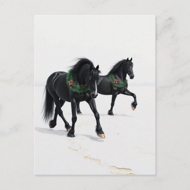 Beautiful Black Horses Winter Snow Christmas Postcard (Front)