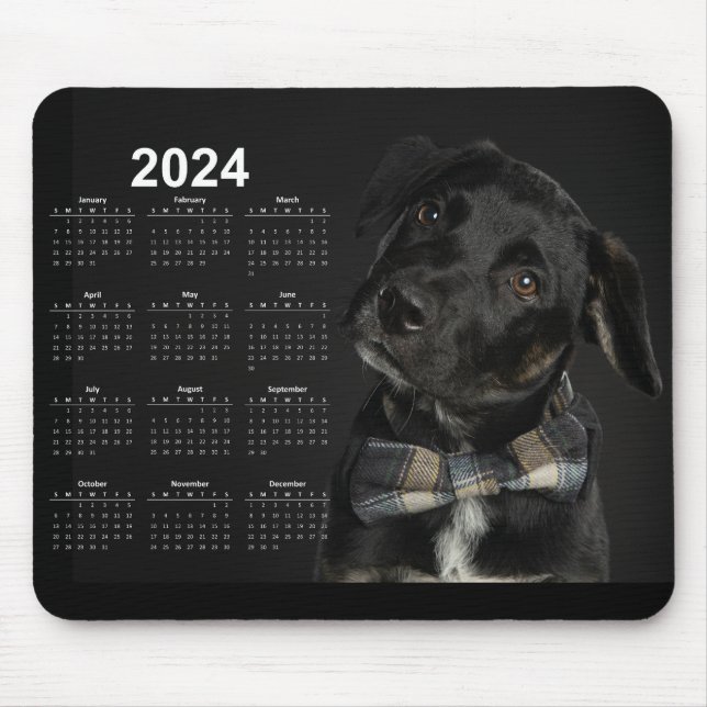 Beautiful Black Labrador Retriever 2024 Calendar Mouse Pad (Front)