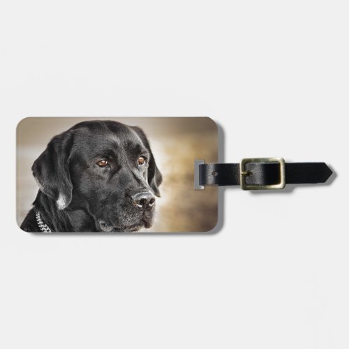 Beautiful Black Labrador Retriever dog design Luggage Tag
