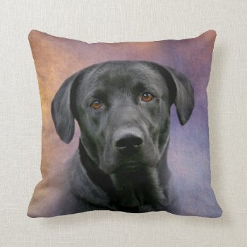 Beautiful Black Labrador Retriever Throw Pillow by deemac1 at Zazzle