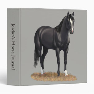Beautiful Black Quarter Horse Stallion Binder