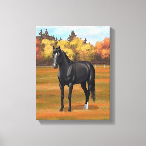 Beautiful Black Quarter Horse Stallion Canvas Print