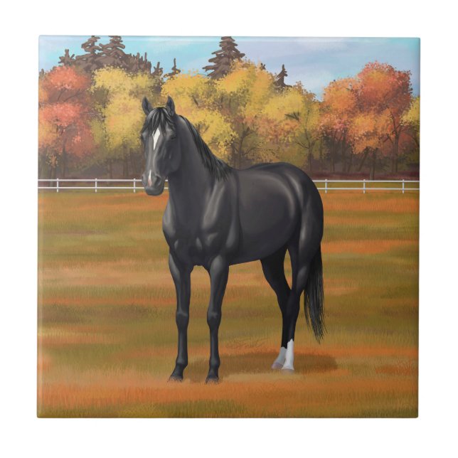 Beautiful Black Quarter Horse Stallion Ceramic Tile (Front)
