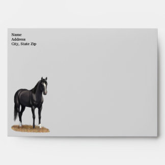Beautiful Black Quarter Horse Stallion Envelope