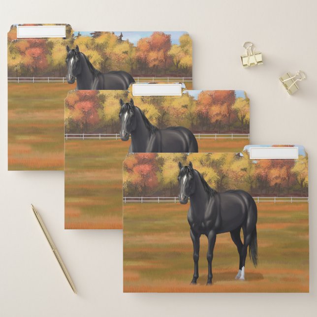 Beautiful Black Quarter Horse Stallion File Folder (Set)
