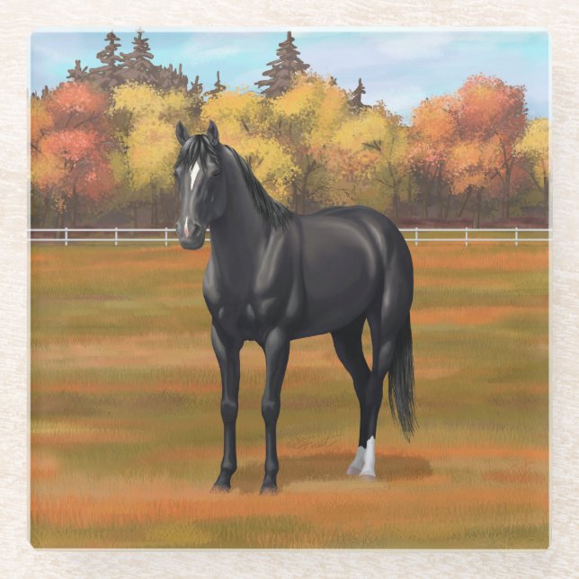 Beautiful Black Quarter Horse Stallion Glass Coaster (Front)