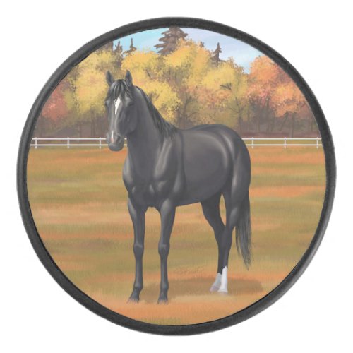 Beautiful Black Quarter Horse Stallion Hockey Puck