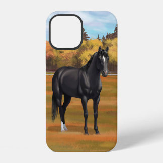 Beautiful Black Quarter Horse Stallion iPhone 12 Case