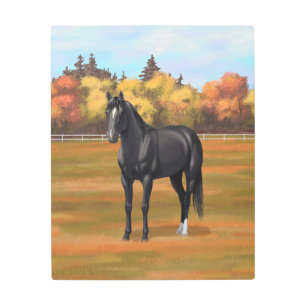 Beautiful Black Quarter Horse Stallion Metal Print