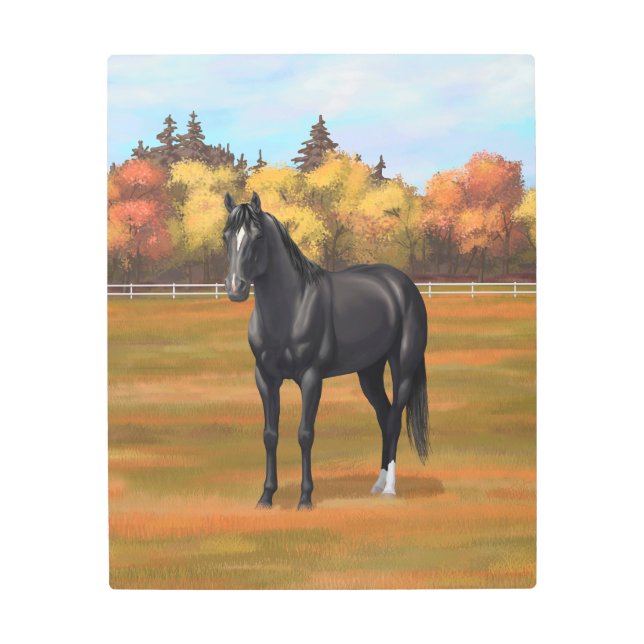 Beautiful Black Quarter Horse Stallion Metal Print (Front)